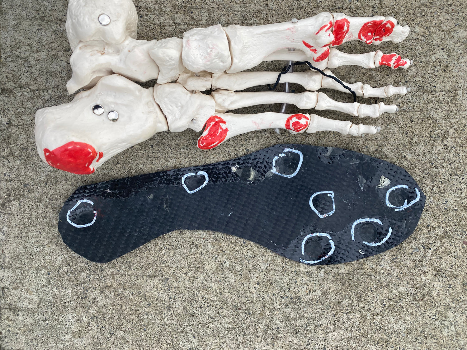 anatomical foot with carbon fiber insoles